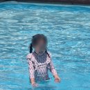 대전근교 물놀이 부여 해아뜰 체험학교 후기, 다시 가고 싶은 마음 200%였던 아이 체험공간