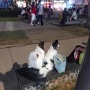 뽑기핑 | 연남동 인형뽑기 3곳 추천 대빵인형뽑기, 최강오락실, 핑미핑미 득템 후기