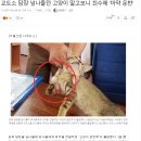 다잡아피시방 이미지