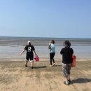 독산해수욕장 이미지