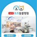 매탄동물병원 이미지