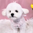 성남대로43번길 이미지