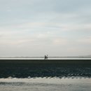 기미일주[己未日柱] 기미일주 ,남자, 여자,성향,특징,사주팔자 일주론풀이
