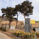 장성호수변길 이미지