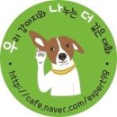 (주)힐링펫 | [리뷰] 수제사료 &#39;힐링펫&#39; 초록잎홍합에 기호성까지 완전 좋아