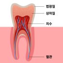 상쾌한치과의원 이미지