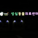 성심동물의료센터 이미지