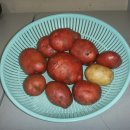 죽암농장 이미지