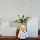 낮과 밤 | 양평감성카페 흑유재 만3세 아이와 함께 낮과 밤 다녀온 후기