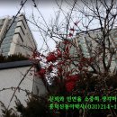 화이팅부동산중개사무소 이미지