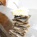 파크 블러썸 이미지