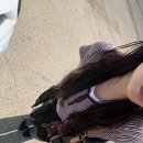 오딧세이패션 | 루이비통 오디세이MM 착용샷·수납력 6개월 사용 후기