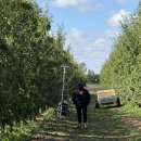 김요한농장 이미지