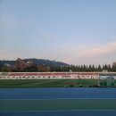 김포종합운동장 네이버블로그