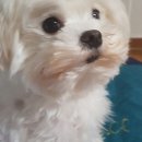 빈이랑은이랑 이미지