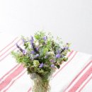 그린인테리어 홈가드닝 이미지