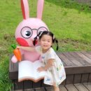 매미와 함께하는 여름여행 이미지