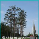 일산호수공원 의 장미축제 / 1 이미지