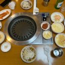 잠실고박사 이미지