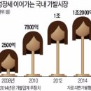 세계한국가발 네이버블로그