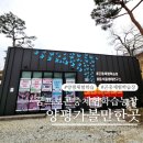 정서네농장 | 양평 아이와 가볼만한곳 추천 굼프로 곤충체험학습농장 실내 곤충·동물 체험 후기