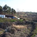 새남해농협중현지점 이미지