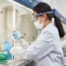 씨제이헬스케어(주) 이미지