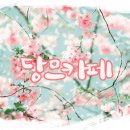 레아모 이미지
