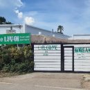 프리다이빙 성공시킨 보홀나팔링투어 무료덕다이빙교육" 한국 프리다이버 두명 추가 ^* ㅣ보홀나투어 ㅣ