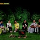 힐링캠프 이미지