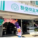 양산맛집 하와이조개 양산물금점에서 싱싱한 조개구이 뿌시고온 후기