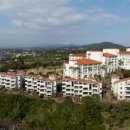 제주바다연 이미지