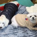 서진세차장 이미지