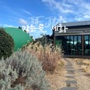 제주처럼 | 제주 빵지순례 가는곶 세화 베이커리 카페 후기