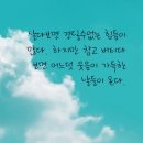아우라두 이미지