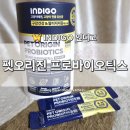 우진펫 | [INDIGO] 인디고 펫오리진 프로바이오틱스 고양이유산균 면역력 영양제