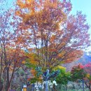 울렁다리 화장실 이미지