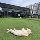 어뮤즈 호텔 이미지