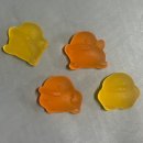 어린왕자 태권도 | 202601