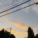 로맨스빠빠의곱창가게 | [검단사거리역 맛집] 쫄깃하고 잡내없는 수제생막창 맛집 ‘로맨스빠빠의 막창가게’ 후기