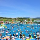 (주)플러스항공여행사
