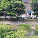 신상리 Daum카페
