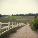 하얀 목장 이미지