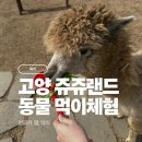 쥬쥬랜드 | [서울 근교 아이랑] 고양 쥬쥬랜드 동물 먹이체험 후기· 주말 나들이