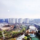 삼평어린이공원 이미지