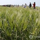 (주)디지털실크로드 이미지
