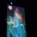 션샤인밀양(농촌테마공원) | 밀양 션샤인 테마파크 <네이쳐 에코리움>