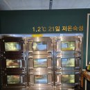 1983인생고기 | 진주 투뿔 한우 맛집 무궁화 1983 진주평거본점 방문 후기