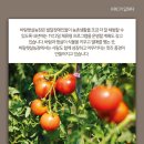 햇살농장2 이미지