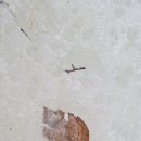 성동사거리(1) 이미지